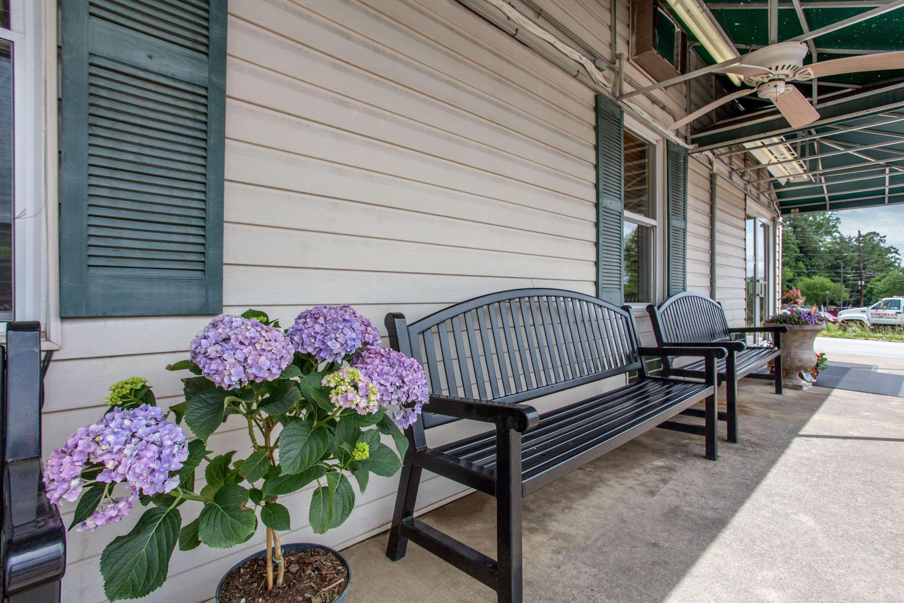 Rodeway Inn Asheville Exterior photo